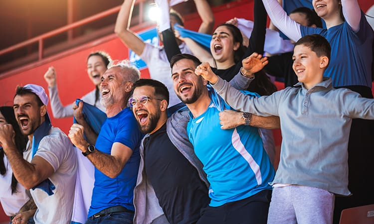 a fan group cheers at a stadium game